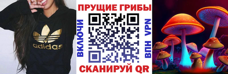 Купить закладки Семикаракорск Псилоцибиновые грибы прущие грибы